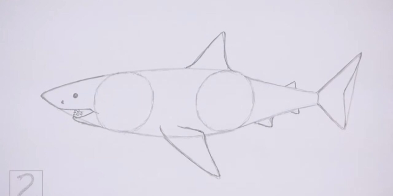 Как нарисовать акулу: 32 несложных, но интересных способа