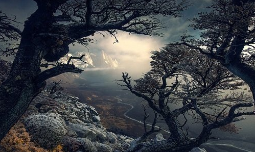 Скачать с Яндекс диска Max Rive Tutorials Bundle